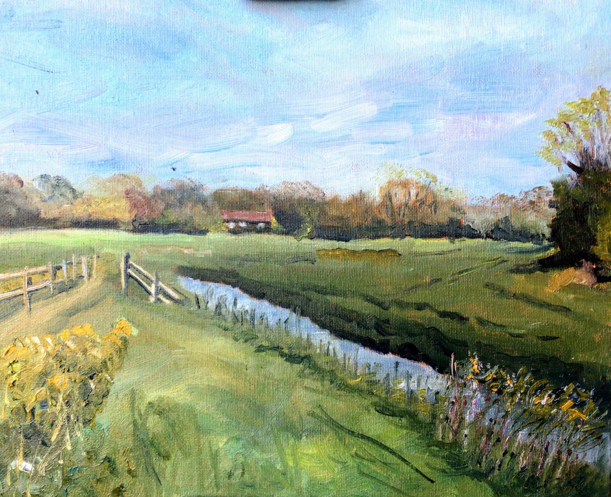 Kentish meadows in the sunshine. An original oil painting. by Julian Lovegrove Art