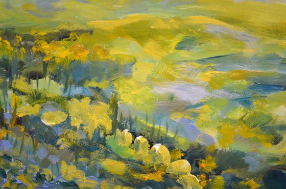 Summer Blossom Trees