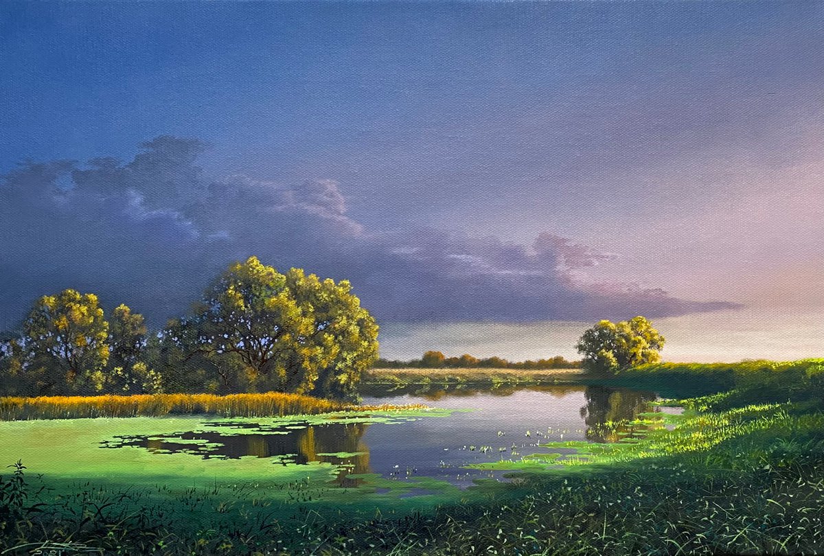 Summer evening by Igor Dubovoy
