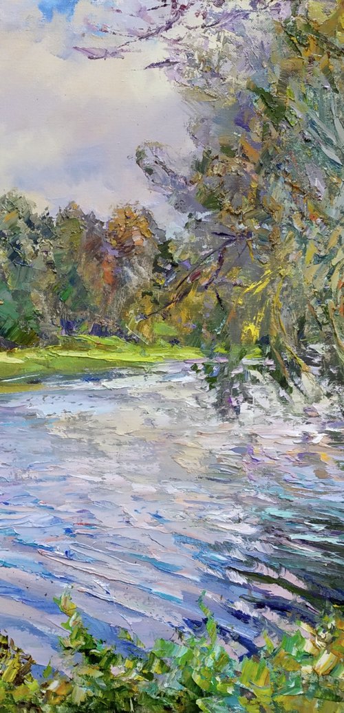 Silver Colors of Autumn by Aleksandr Dubrovskyy