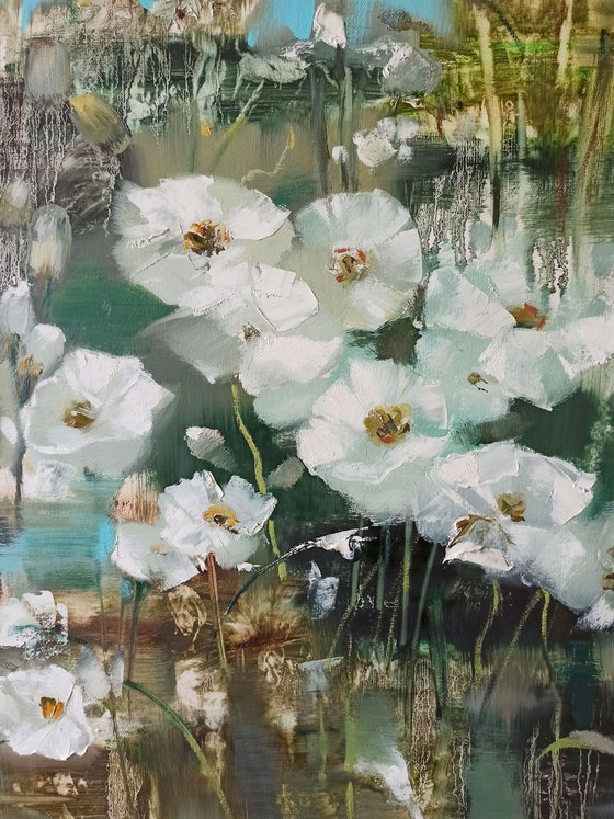 White poppies