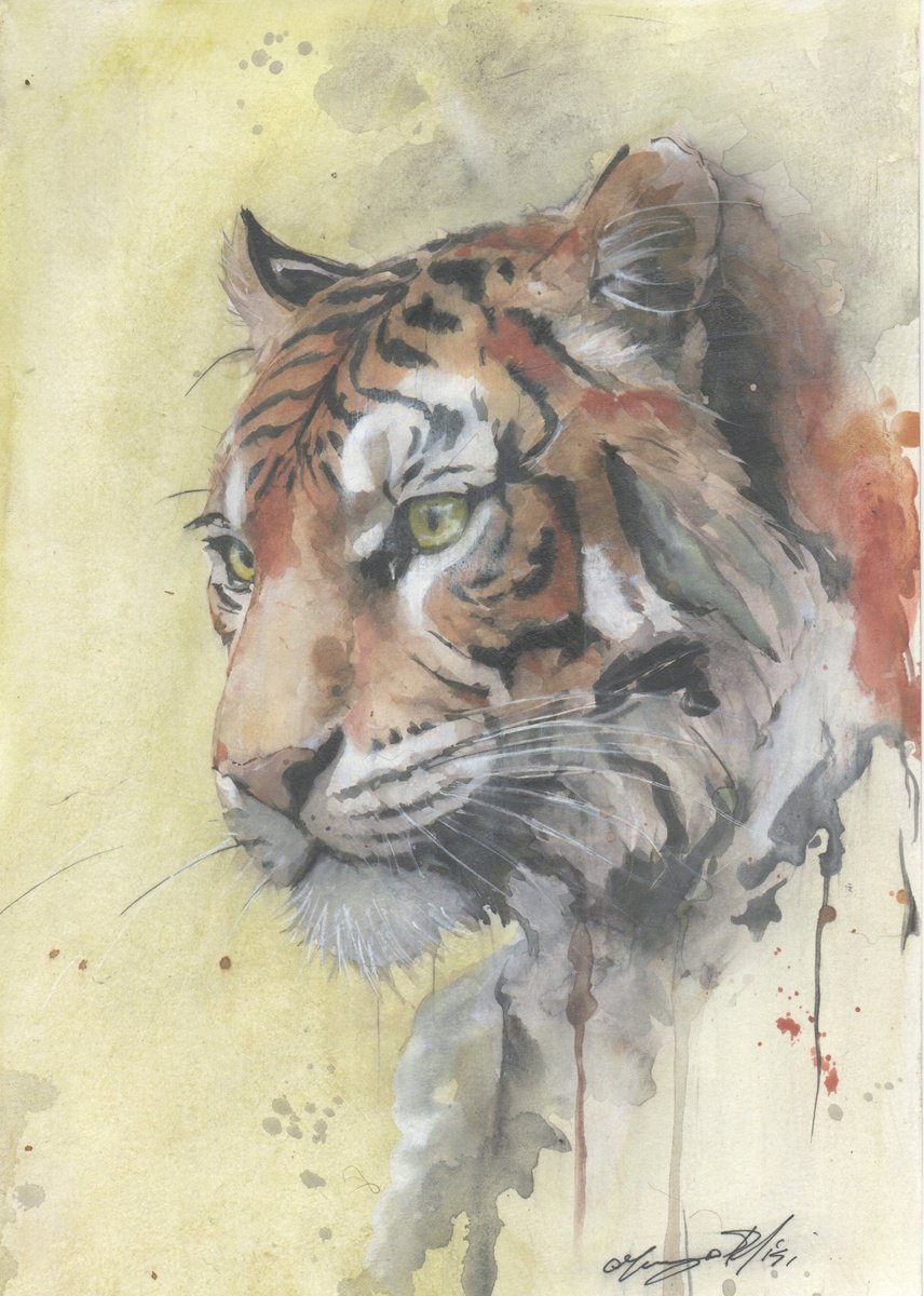 Impressionistic Animal Ink Drawing By Maurizio Puglisi, 8 X 11", Now I Think It