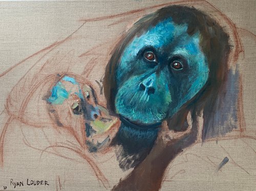 Orangutan and Baby by Ryan  Louder