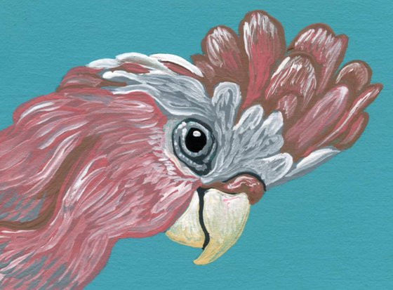 ACEO ATC Original Miniature Painting Australian Parrot Galah Cockatoo Pet Bird Art-Carla Smale