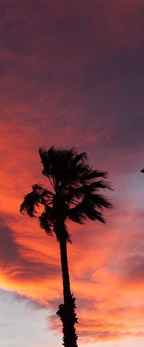 Mojave Sunset, Twentynine Palms by Heike Bohnstengel