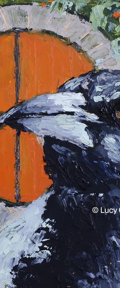 Magpie Medicine by Lucy Morningstar