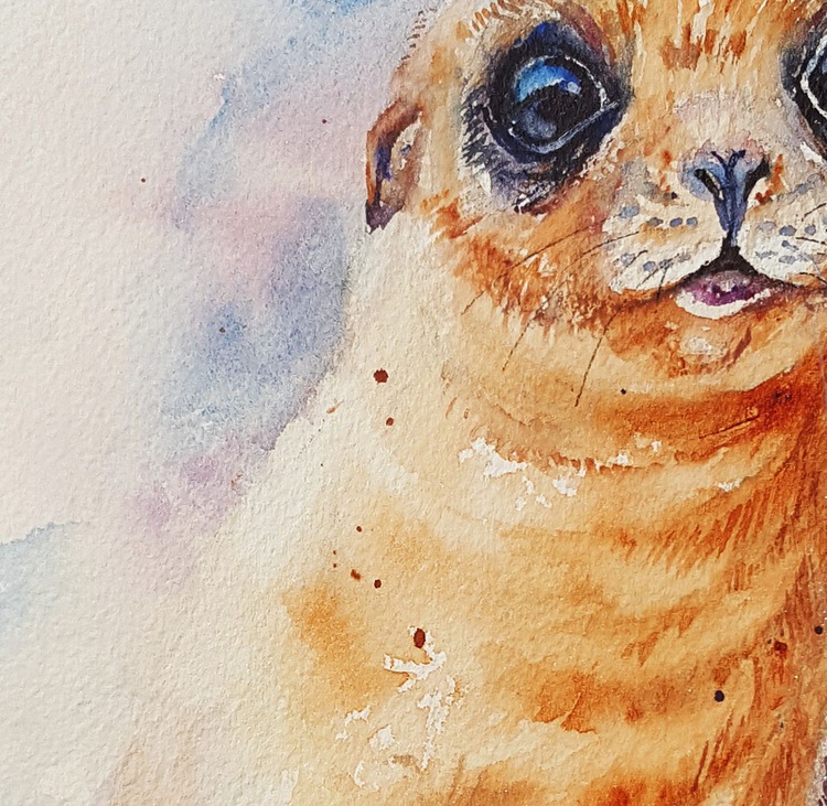 Selby The Sea Lion Cub By Arti Chauhan Artfinder