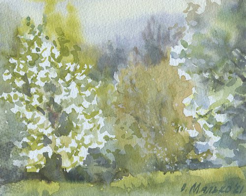 Spring again. Evening calm / Trees in blossom. Original watercolor sketch. Plein air painting by Olha Malko