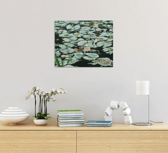 Waterlilies 5