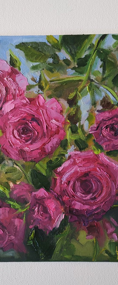 Pink tea roses by Leyla Demir