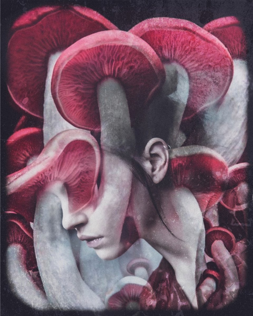 Botanical collection Vol 47. Magic mushrooms. Art portrait on canvas by Elmira Namazova