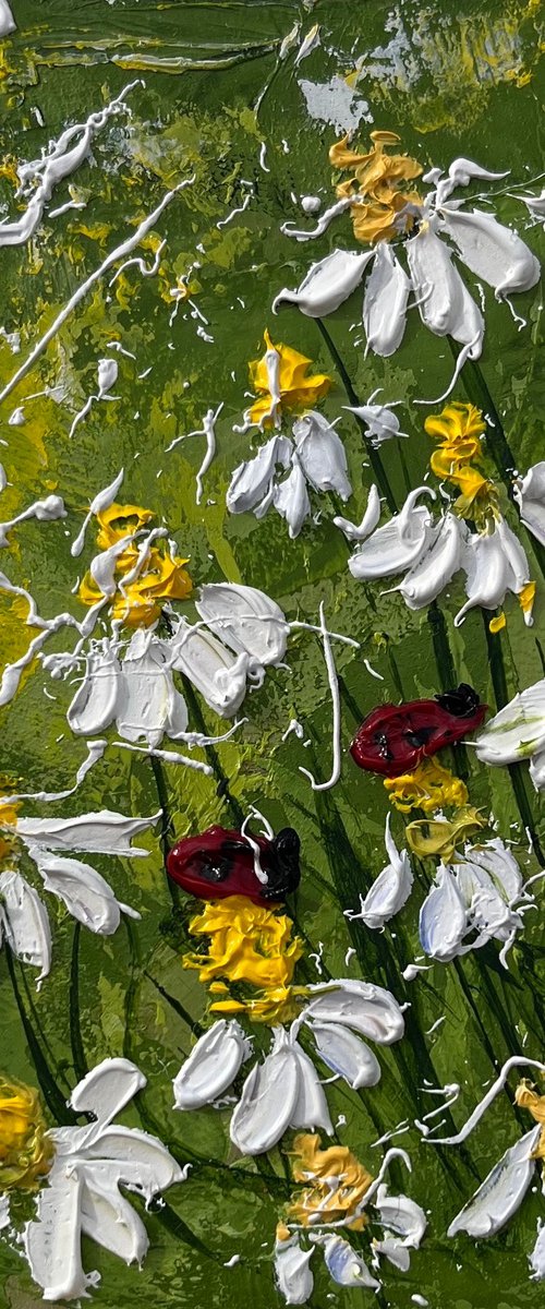 Daisy Painting Ladybug Original Art Chamomile Flowers Oil Impasto Artwork Floral Wall Art 4 by 6" by Halyna Kirichenko