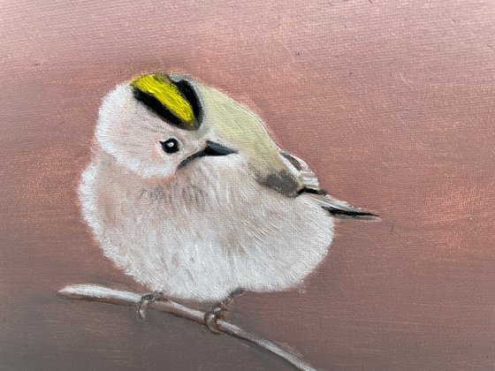 Goldcrest