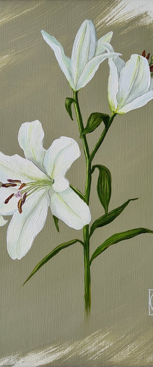 Oriental Lily Study 3 by Katia Bellini