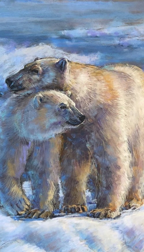 Polar Bears by Natalie Ayas