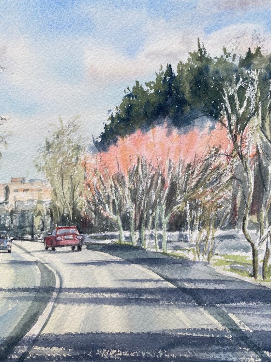 Spring is coming