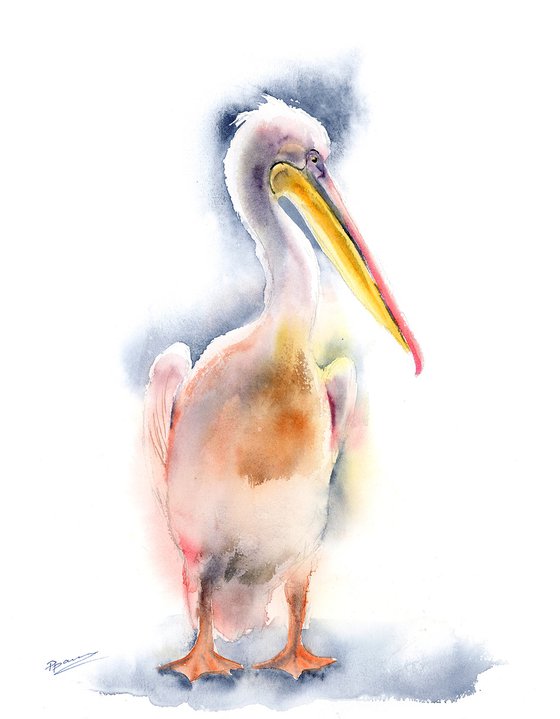 Pink Pelican ( 1 of 2) -  Original Watercolor Painting