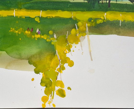 Summer yellow, mustard flowers