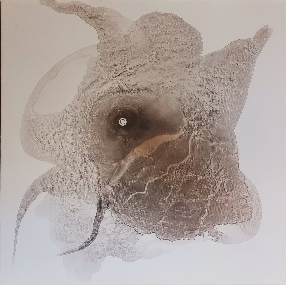 Organic Animal Acrylic Painting By Doris Duschelbauer, 16 X 16, Untitled # 2, Original Artwork