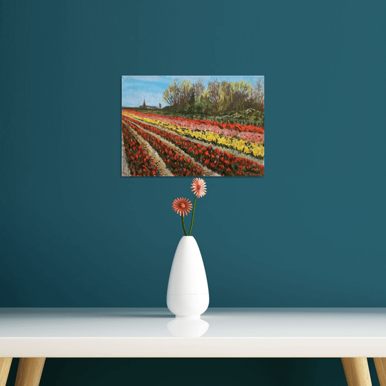 Tulip fields 2022