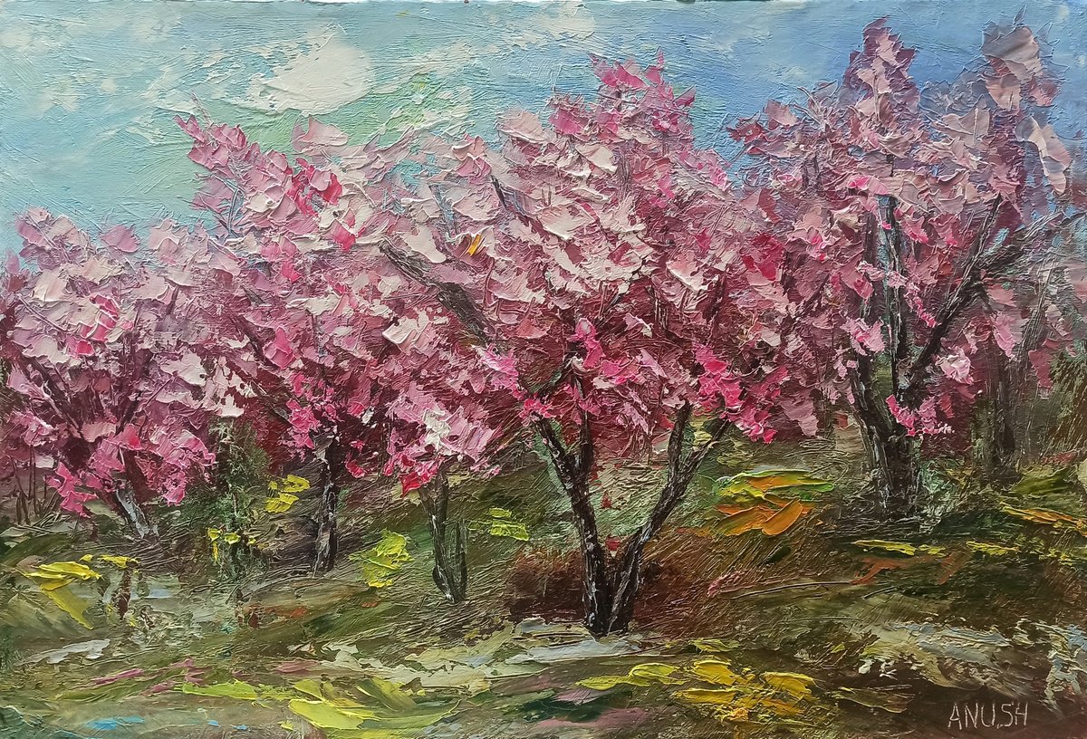Apricot garden (40x60cm, oil painting, impressionistic) by Anush Emiryan