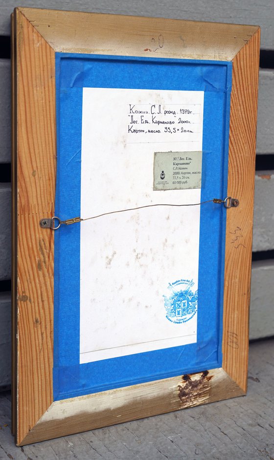 Forest. Fir-tree. Karmanovo