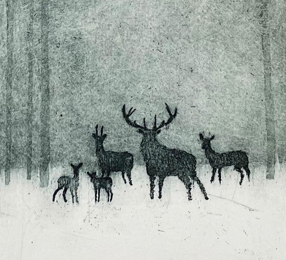 Deer in Winter