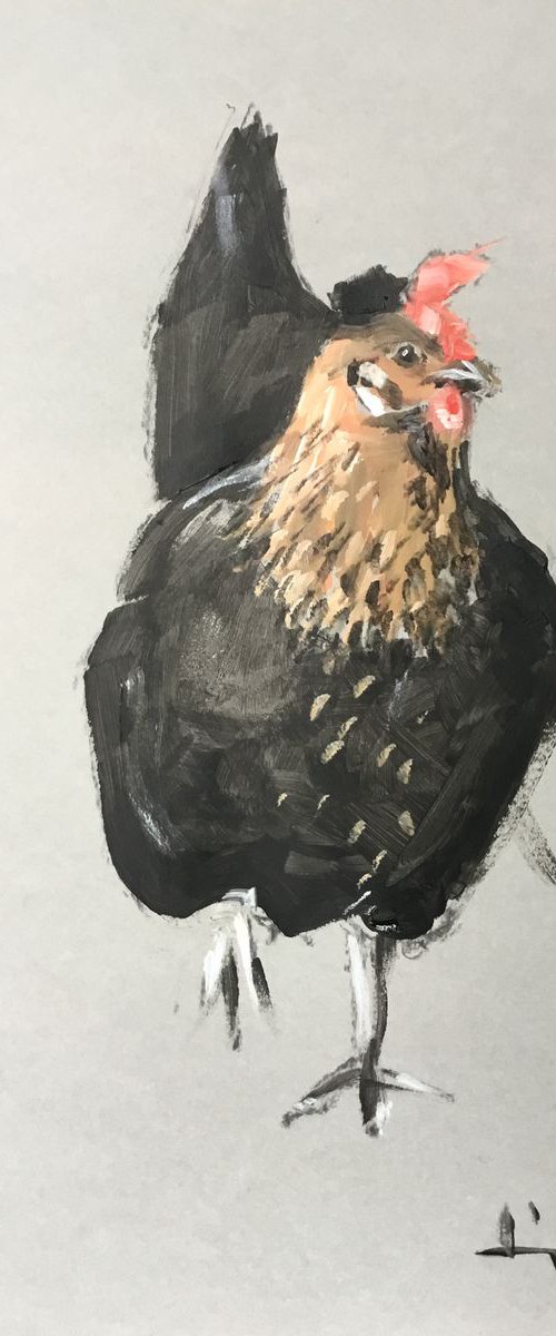 Chicken Study 3 by Dominique Dève
