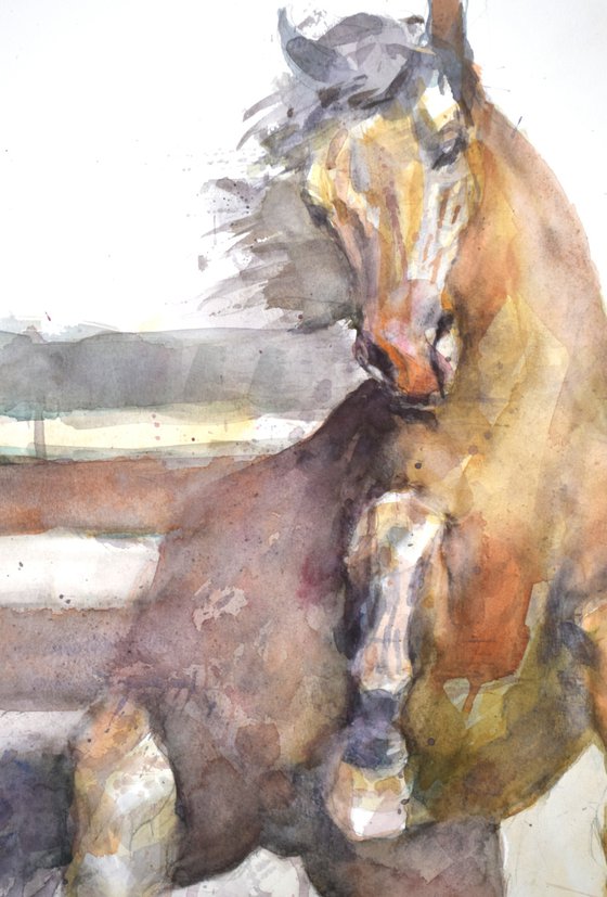 Prancing  horse (70x50)