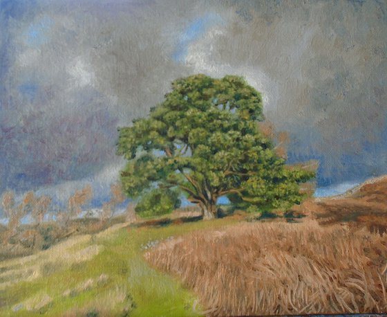 Teesdale tree 1 SOLD