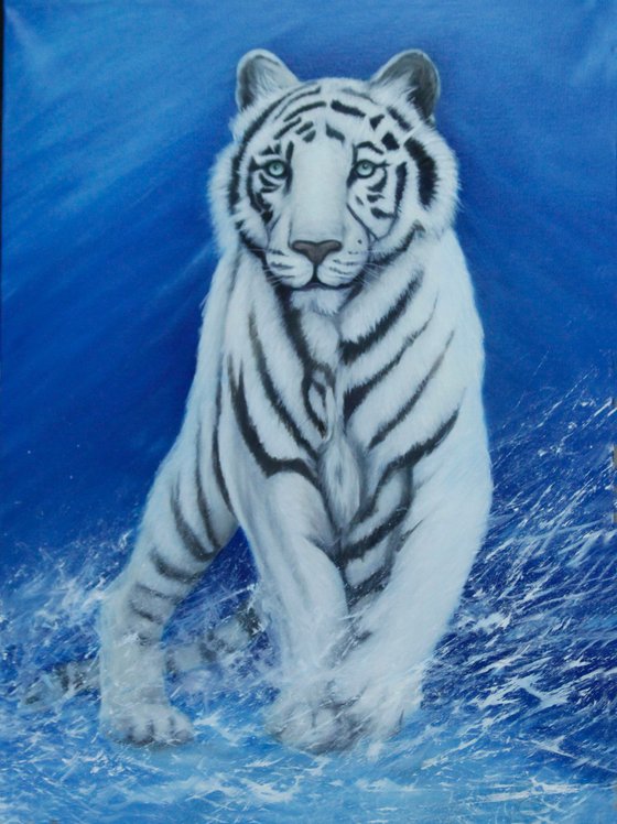 White tiger in Snowstorm