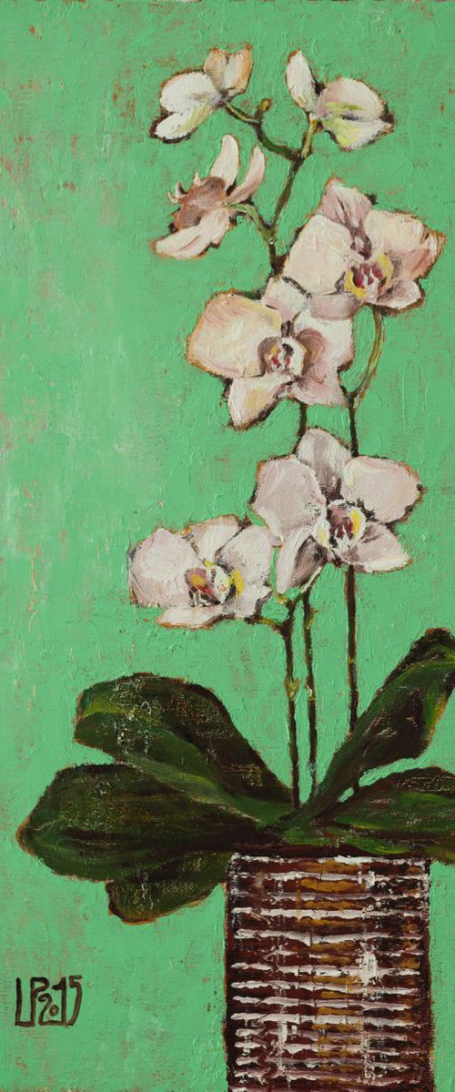 Orchid by Liudmila Pisliakova