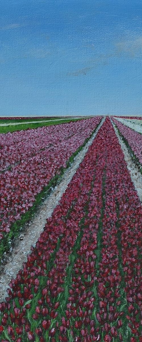 Tulips: Red, White and Green, 2018, 24 x 30 cm by Alma de Leeuw - van Wilgenburg