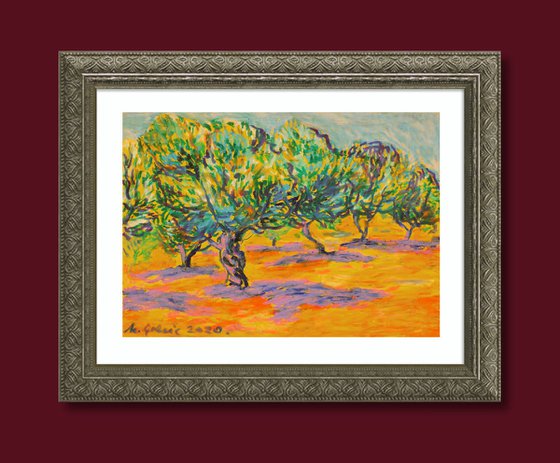 Olive grove No 24