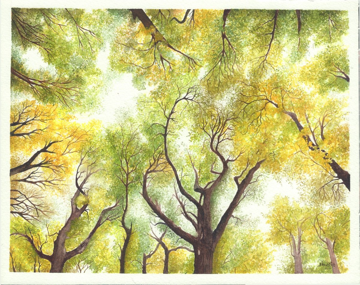 Photorealistic Landscape Watercolour By Shweta Mahajan, 12 X 10", Maple Canopy, Original Artwork