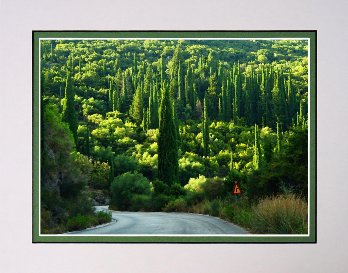 Winding through the Cyprus Forest Kefalonia by Robin Clarke