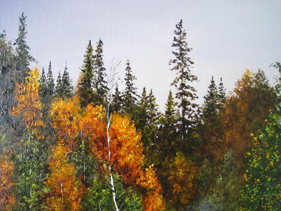 Autumn Mist by the Lake