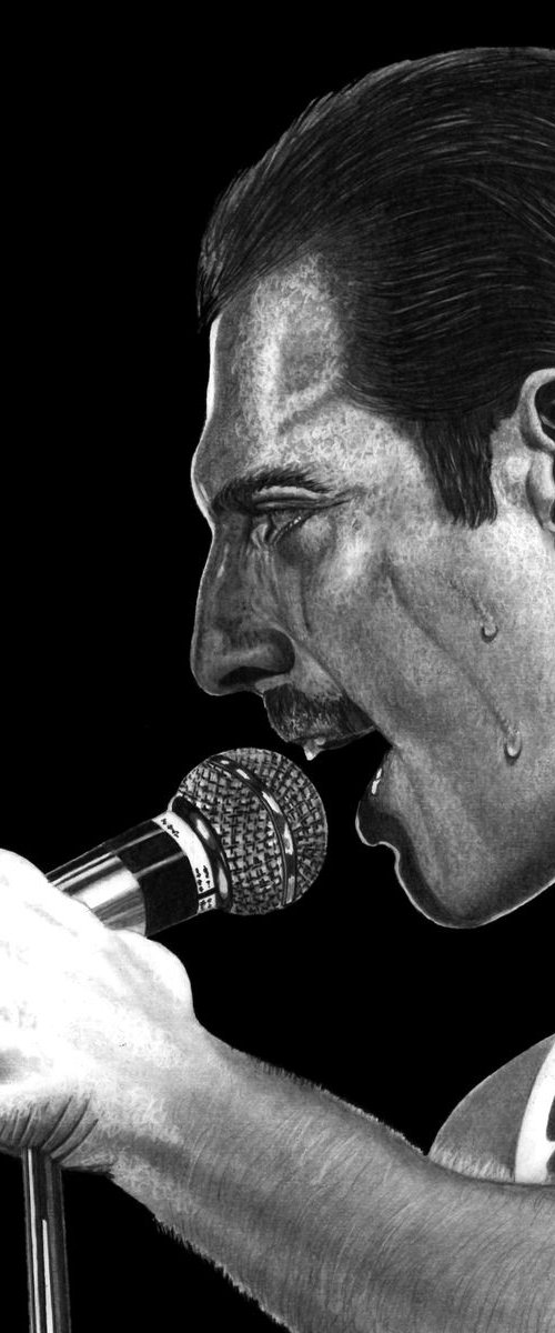 Freddie by Paul Stowe