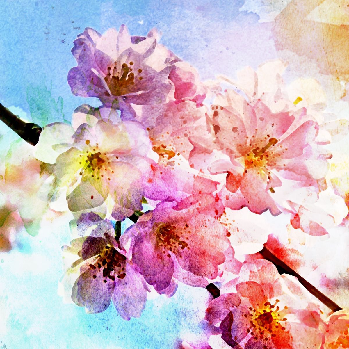 spring blossom by Boris Novak