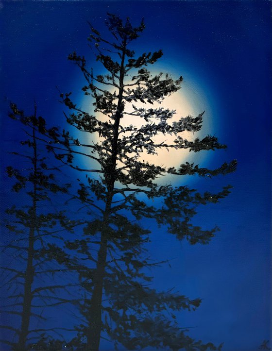 Nocturnal Pines