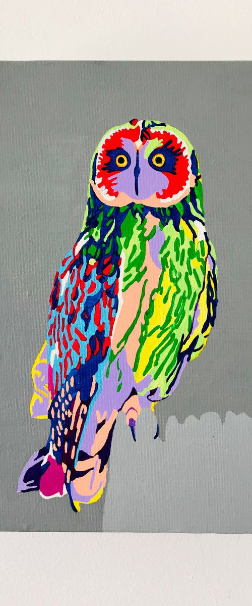Hoo-Dini The Owl by Lucyanne Terni