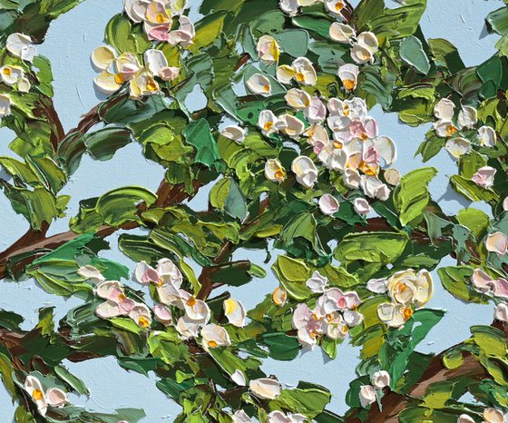 Spring Glow - Original Blooming Tree Painting