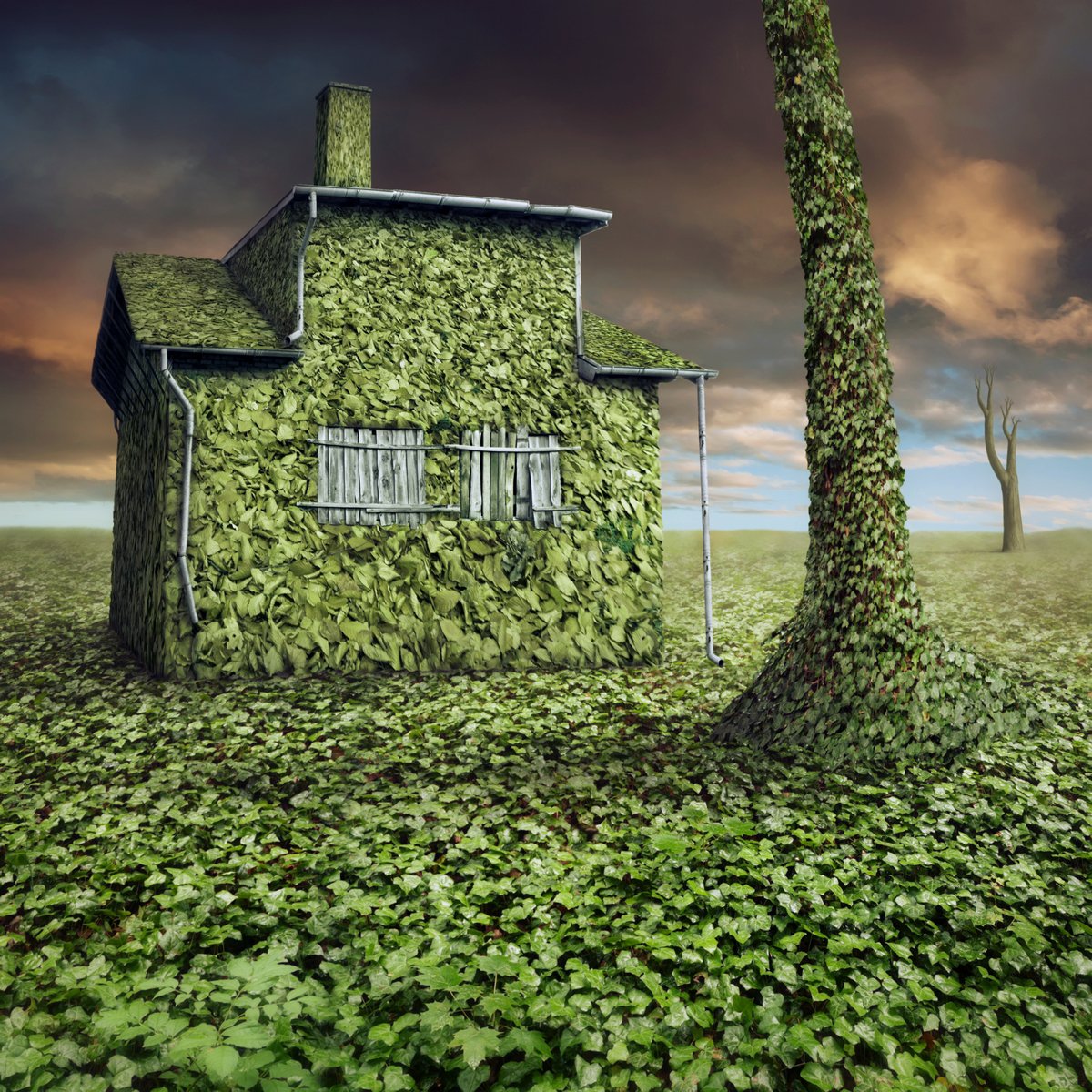 The House of Leaves, 100x100cm, canvas by Dariusz Klimczak