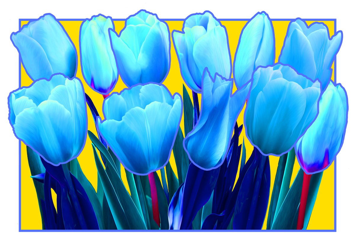 Blue Tulips by Rod Vass