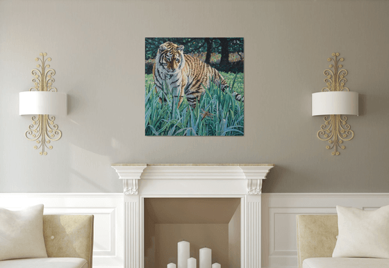 Amur Tiger - First Encounter