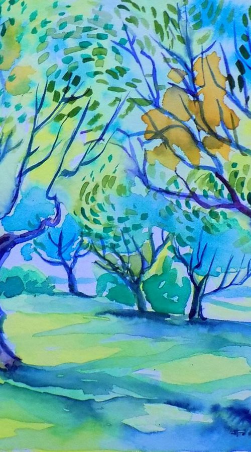 Old olive orchard XIV by Maja Grecic