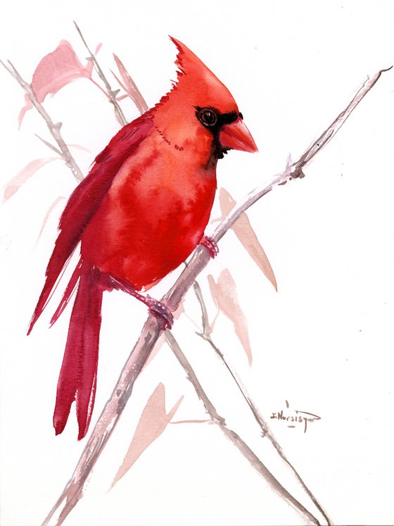 Cardinal Bird