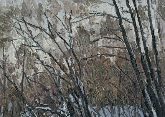 February in Kuzminki. The Churilikha River