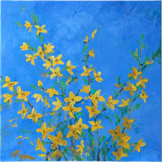 Golden forsythia