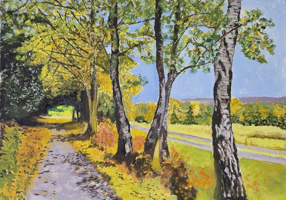The Ashdown Forest: A Sussex Landscape